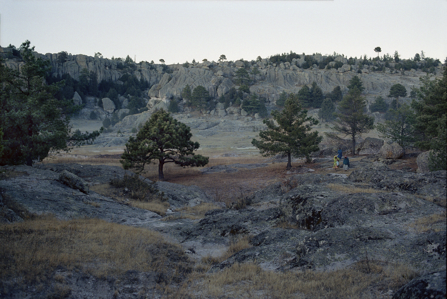 Real Surreal Landscape 1